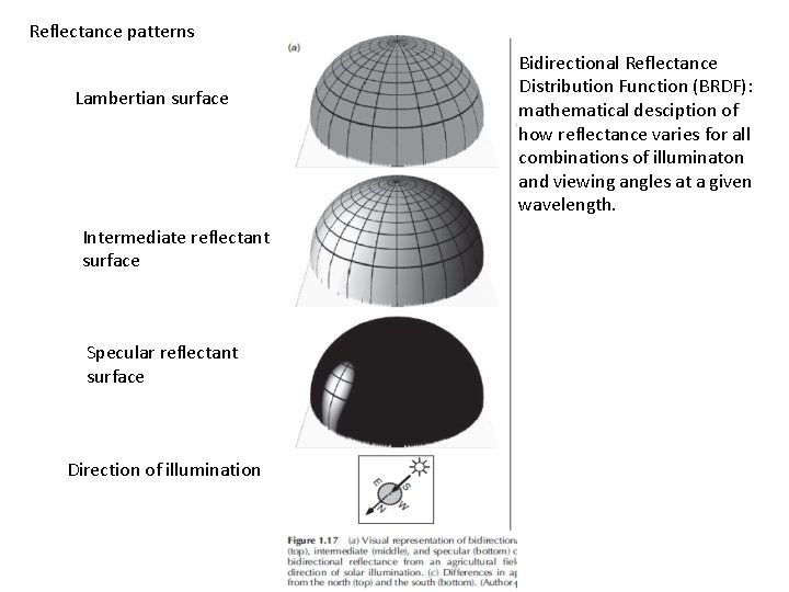 Reflectance patterns Lambertian surface Intermediate reflectant surface Specular reflectant surface Direction of illumination Bidirectional