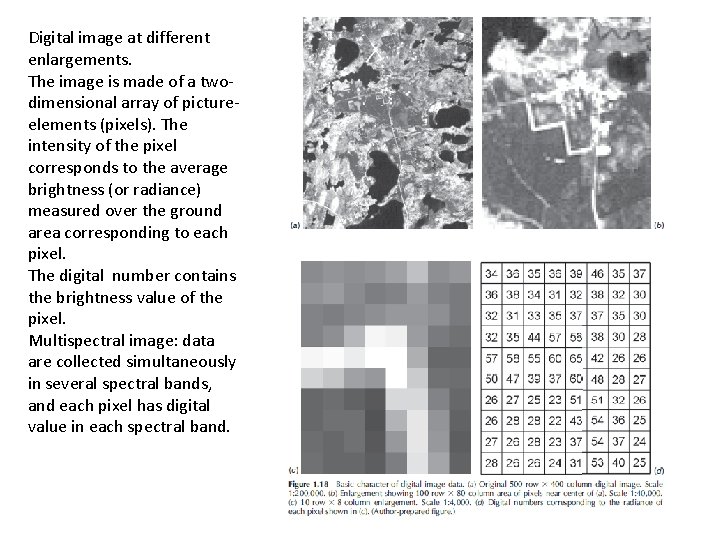 Digital image at different enlargements. The image is made of a twodimensional array of