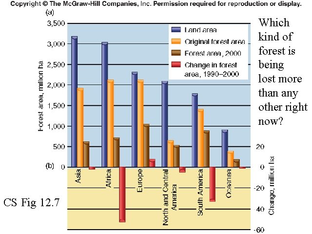 Which kind of forest is being lost more than any other right now? CS