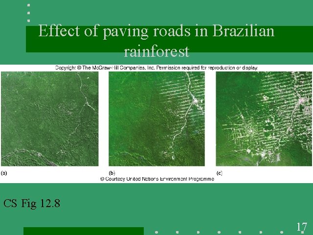 Effect of paving roads in Brazilian rainforest CS Fig 12. 8 17 