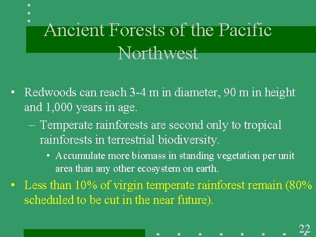 Ancient Forests of the Pacific Northwest • Redwoods can reach 3 -4 m in