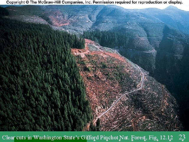 Clear cuts in Washington State’s Gifford Pinchot Nat. Forest, Fig. 12 23 
