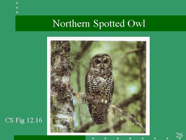 Northern Spotted Owl CS Fig 12. 16 26 