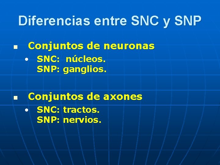 Diferencias entre SNC y SNP n Conjuntos de neuronas • SNC: núcleos. SNP: ganglios.