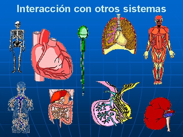 Interacción con otros sistemas 