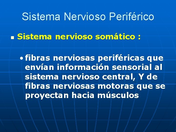 Sistema Nervioso Periférico n Sistema nervioso somático : • fibras nerviosas periféricas que envían