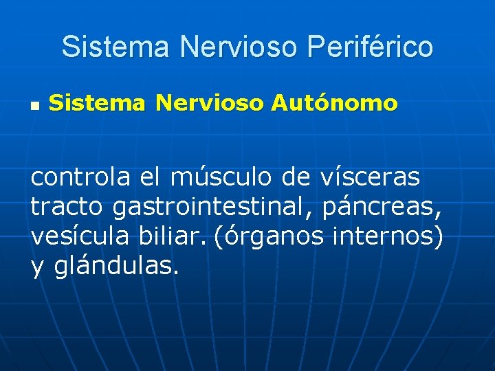 Sistema Nervioso Periférico n Sistema Nervioso Autónomo controla el músculo de vísceras tracto gastrointestinal,