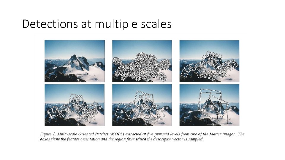 Detections at multiple scales Detections at multiple scales