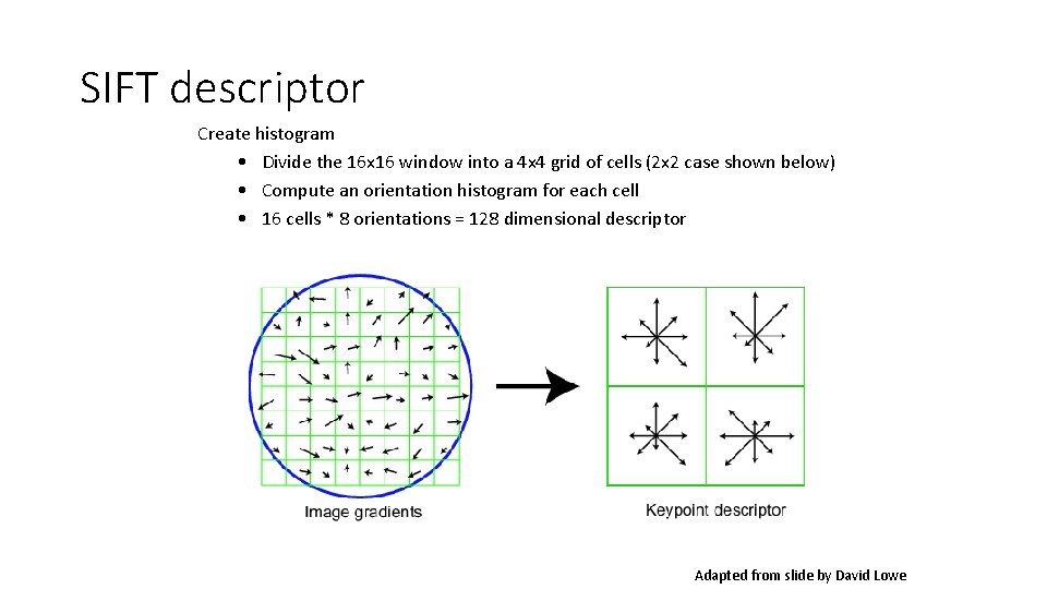 SIFT descriptor Create histogram • Divide the 16 x 16 window into a 4 SIFT descriptor Create histogram • Divide the 16 x 16 window into a 4