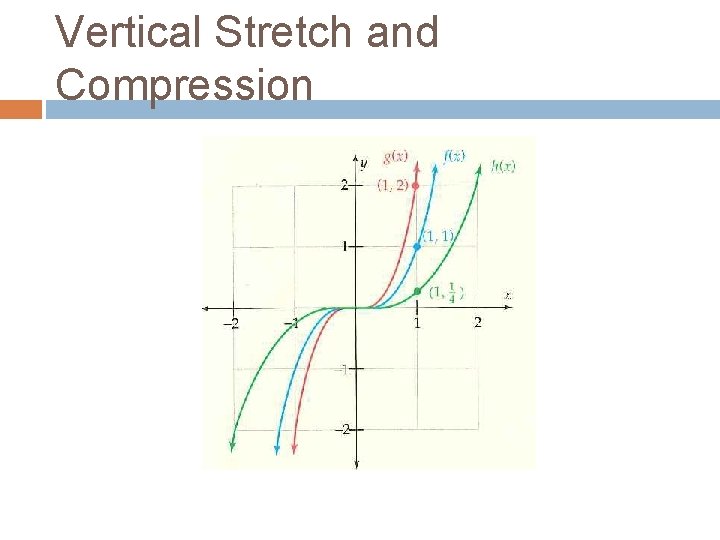 Vertical Stretch and Compression 