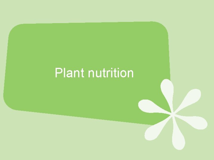 Plant nutrition 