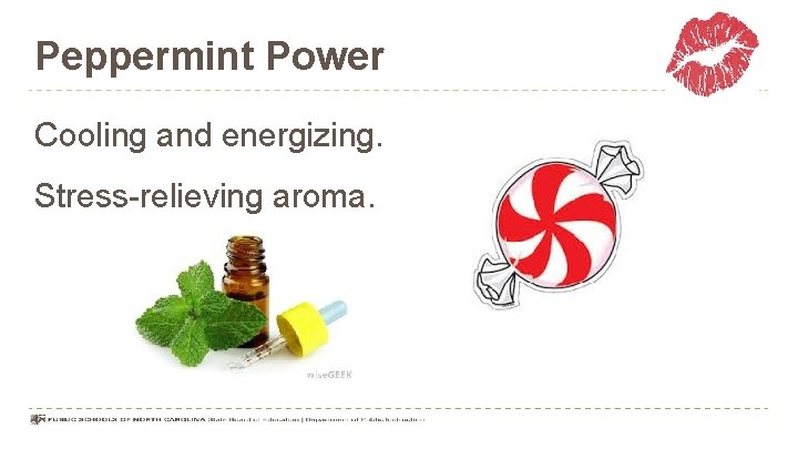 Peppermint Power Cooling and energizing. Stress-relieving aroma. 