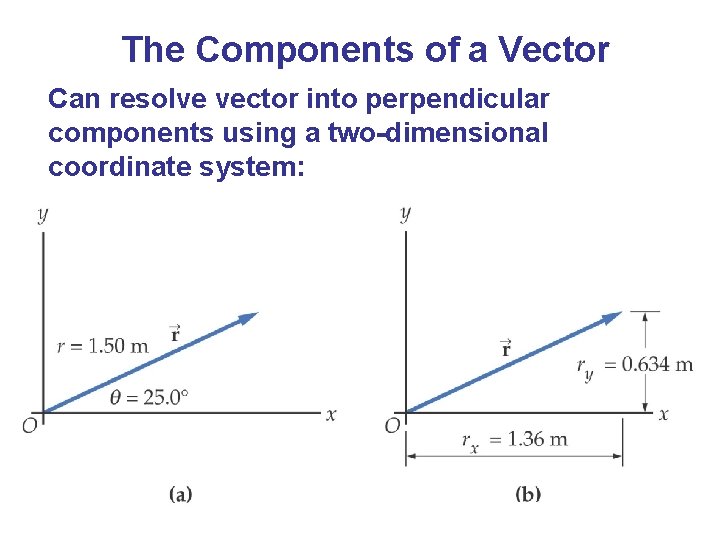 The Components of a Vector Can resolve vector into perpendicular components using a two-dimensional
