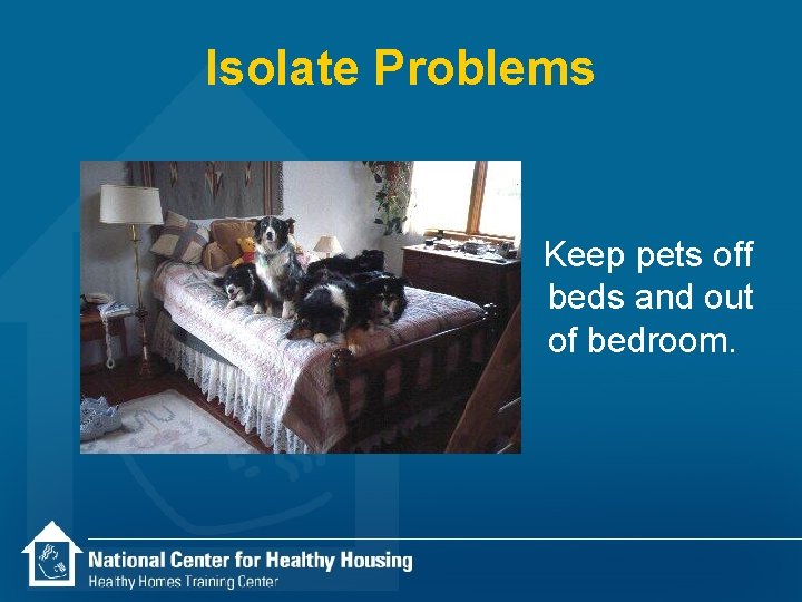 Isolate Problems Keep pets off beds and out of bedroom. 