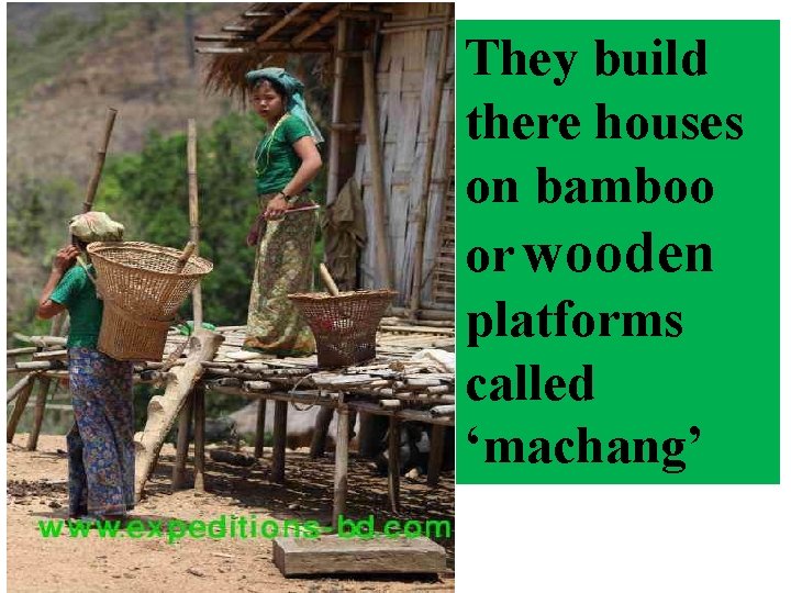 They build there houses on bamboo or wooden platforms called ‘machang’ 