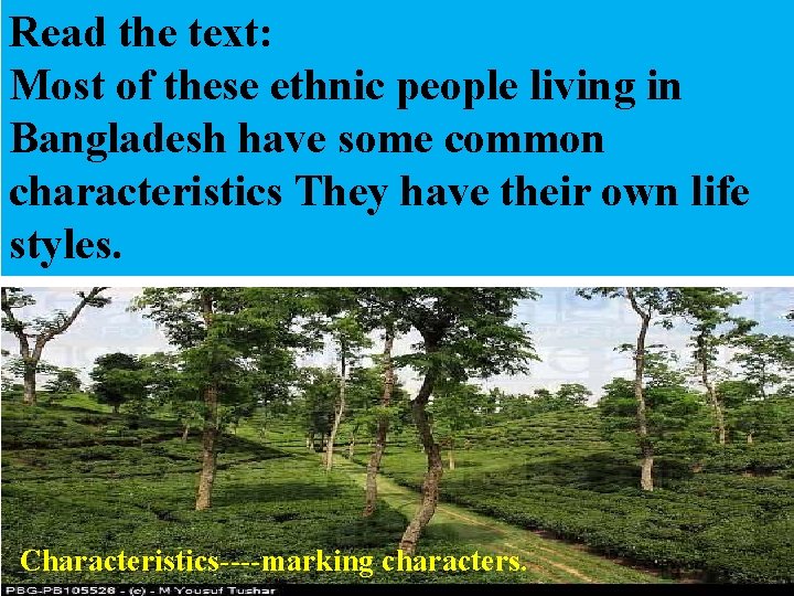 Read the text: Most of these ethnic people living in Bangladesh have some common