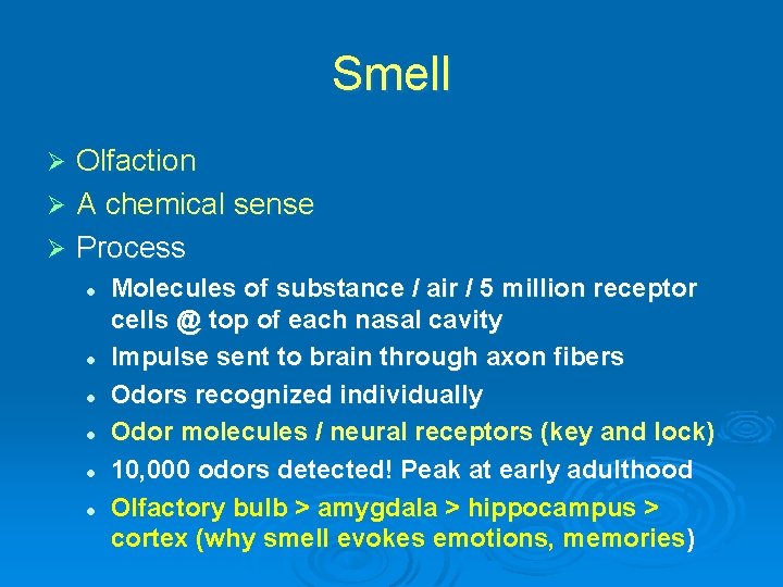 Smell Olfaction Ø A chemical sense Ø Process Ø l l l Molecules of