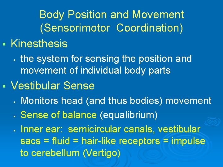 Body Position and Movement (Sensorimotor Coordination) § Kinesthesis § § the system for sensing