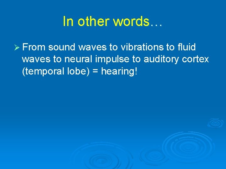 In other words… Ø From sound waves to vibrations to fluid waves to neural