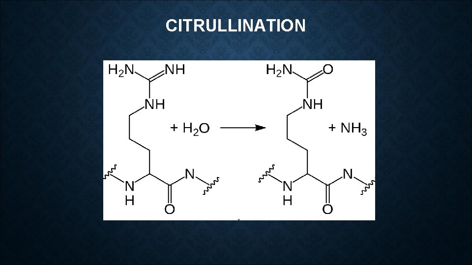 CITRULLINATION CITRULLINATION