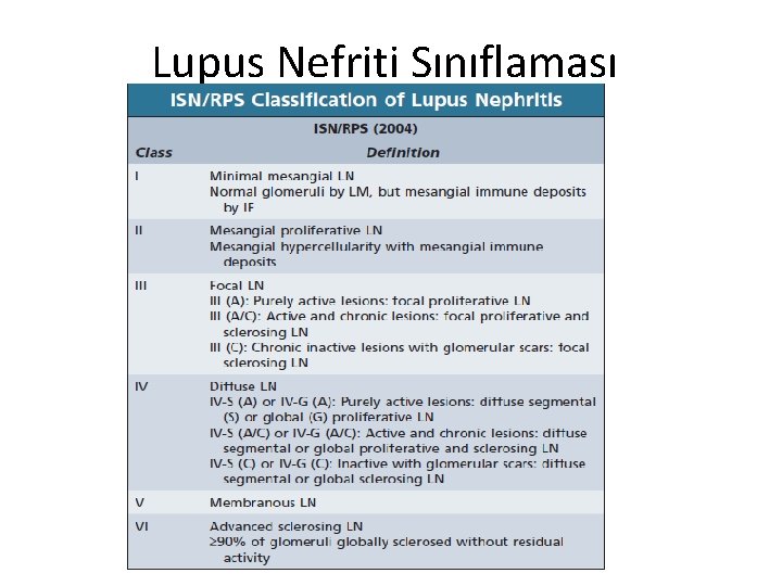 Lupus Nefriti Sınıflaması 