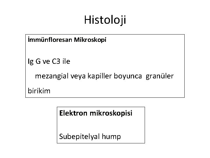 Histoloji İmmünfloresan Mikroskopi Ig G ve C 3 ile mezangial veya kapiller boyunca granüler