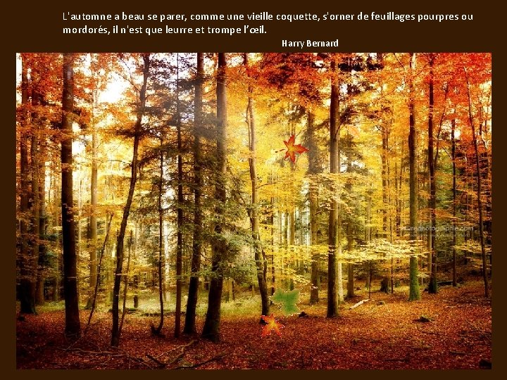 L'automne a beau se parer, comme une vieille coquette, s'orner de feuillages pourpres ou