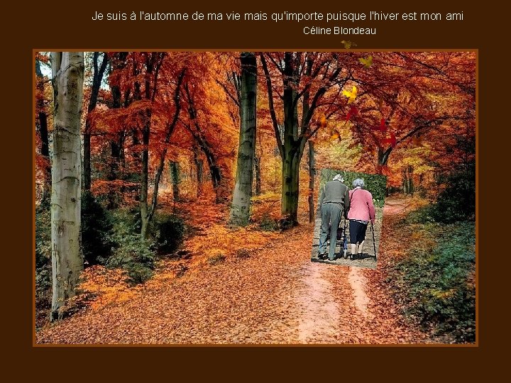 Je suis à l'automne de ma vie mais qu'importe puisque l'hiver est mon ami