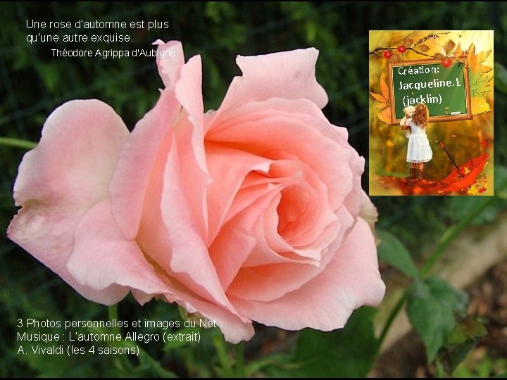 Une rose d'automne est plus qu'une autre exquise. Théodore Agrippa d'Aubigné Création: Jacqueline. L