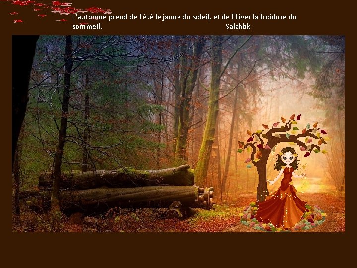 L'automne prend de l'été le jaune du soleil, et de l'hiver la froidure du