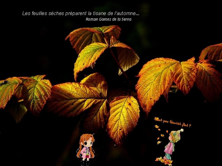 Les feuilles sèches préparent la tisane de l'automne… Ramon Gomez de la Serna 