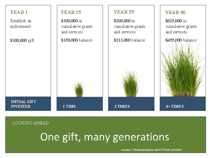 YEAR 15 YEAR 25 YEAR 50 Establish an endowment $100, 000 in cumulative grants