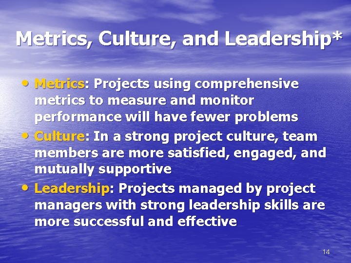Metrics, Culture, and Leadership* • Metrics: Projects using comprehensive • • metrics to measure