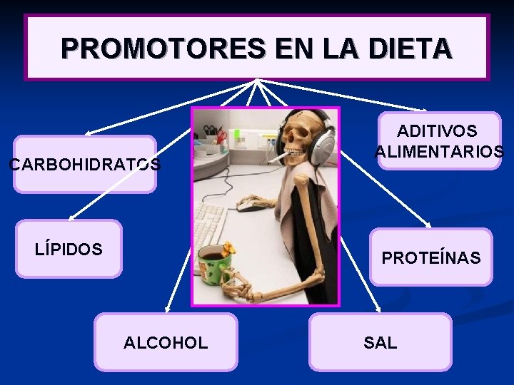 PROMOTORES EN LA DIETA CARBOHIDRATOS LÍPIDOS ADITIVOS ALIMENTARIOS PROTEÍNAS ALCOHOL SAL 