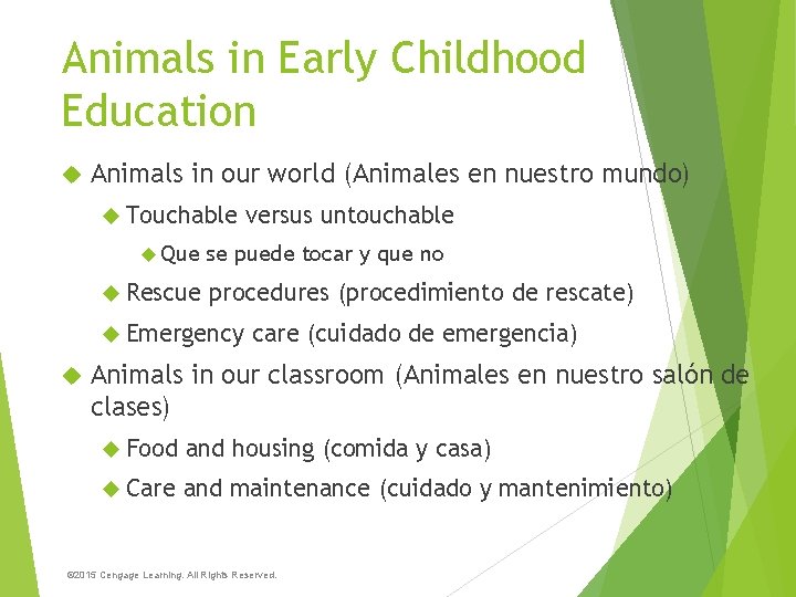 Animals in Early Childhood Education Animals in our world (Animales en nuestro mundo) Touchable