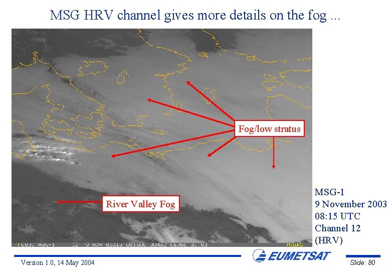 MSG HRV channel gives more details on the fog. . . Fog/low stratus River