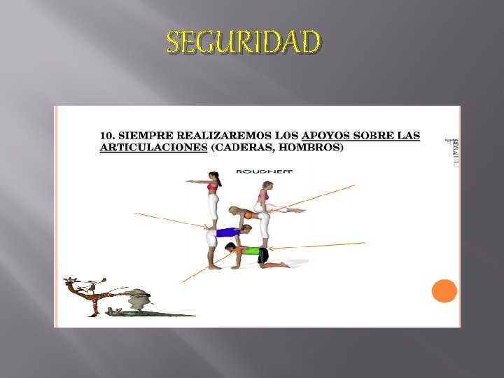 SEGURIDAD 