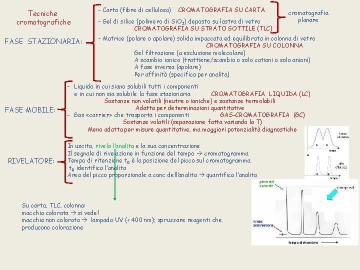 Tecniche cromatografiche FASE STAZIONARIA: FASE MOBILE: RIVELATORE: - Carta (fibre di cellulosa) CROMATOGRAFIA SU