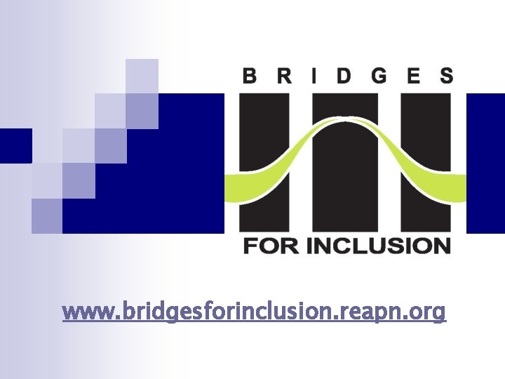 www. bridgesforinclusion. reapn. org 