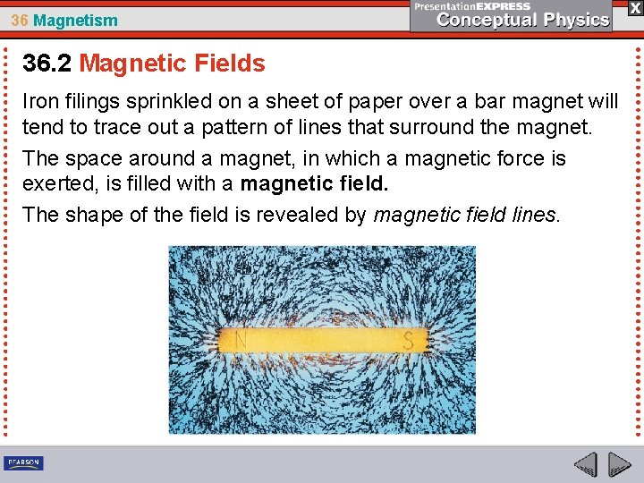 36 Magnetism 36. 2 Magnetic Fields Iron filings sprinkled on a sheet of paper