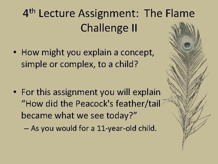 4 th Lecture Assignment: The Flame Challenge II • How might you explain a