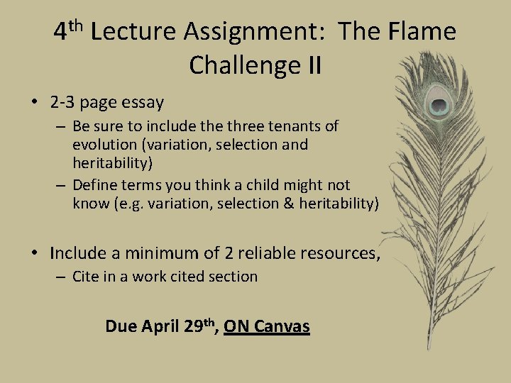4 th Lecture Assignment: The Flame Challenge II • 2 -3 page essay –