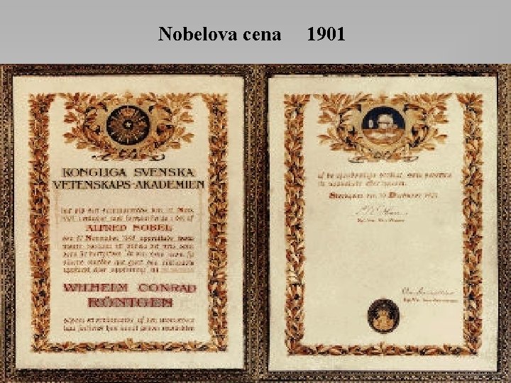 Nobelova cena 1901 