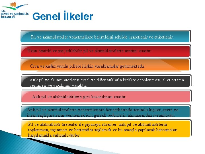 Genel İlkeler Pil ve akümülatörler yönetmelikte belirtildiği şeklide işaretlenir ve etiketlenir. Uzun ömürlü ve