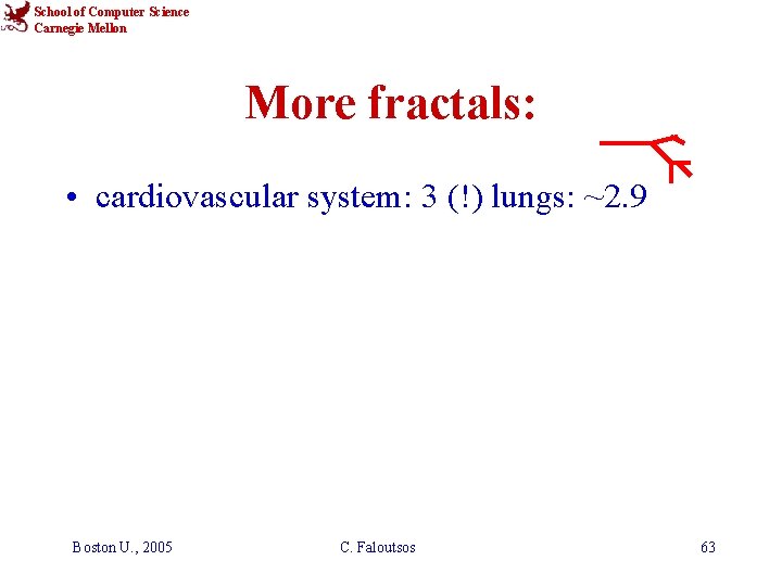 School of Computer Science Carnegie Mellon More fractals: • cardiovascular system: 3 (!) lungs: