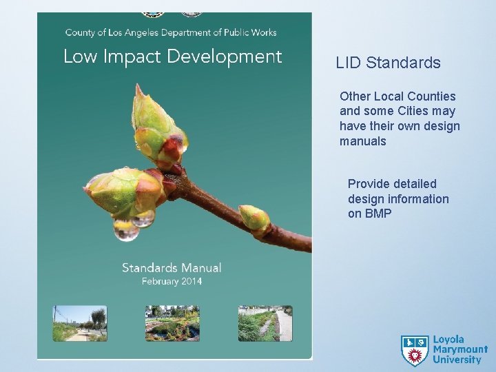 LID Standards Other Local Counties and some Cities may have their own design manuals