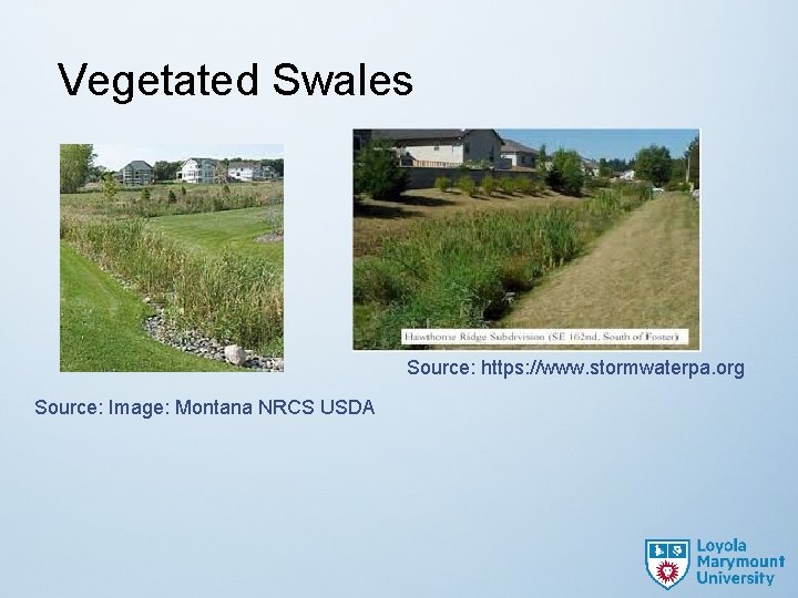Vegetated Swales Source: https: //www. stormwaterpa. org Source: Image: Montana NRCS USDA 