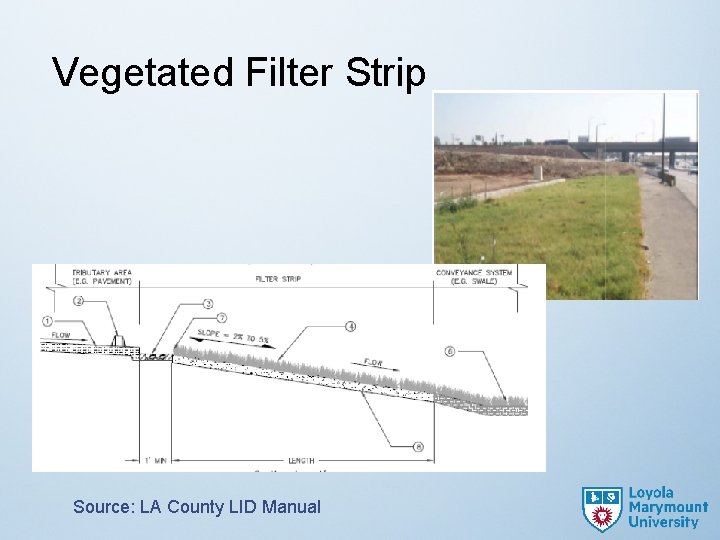 Vegetated Filter Strip Source: LA County LID Manual 