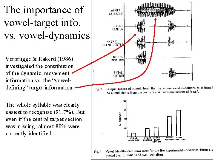 The importance of vowel-target info. vs. vowel-dynamics Verbrugge & Rakerd (1986) investigated the contribution