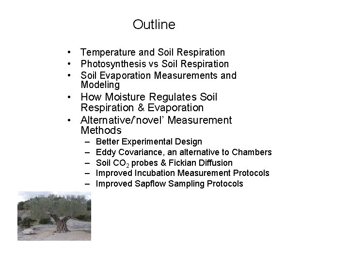Outline • Temperature and Soil Respiration • Photosynthesis vs Soil Respiration • Soil Evaporation